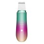 Scrubber Anteamed per la pelle del viso, detergente per i pori, Cleaner Esfoliante - rainbow
