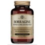 Solgar Borage Super Concentrate 30 Softgels