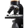 Celestron Tetraview-Mikroskop