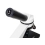 Microscope Levenhuk arc-en-ciel 2L