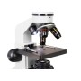 Microscope Levenhuk arc-en-ciel 2L