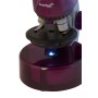 Microscop Levenhuk LabZZ M101