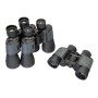 Binocolo Levenhuk Discovery Flint 12x50