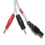 Compex CABLE GRIS 6 P - POLARITE ROUGE
