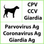 CPV+CCV+Giardia Veterinary Rapid Test for Parvovirus, Coronavirus, Giardia - 10 Tests