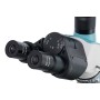 Levenhuk 500T trinocular microscope