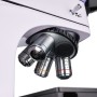 Microscopio metallografico digitale MAGUS Metal D600 BD LCD
