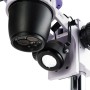 Microscopio stereoscopico digitale MAGUS Stereo D8T BASE