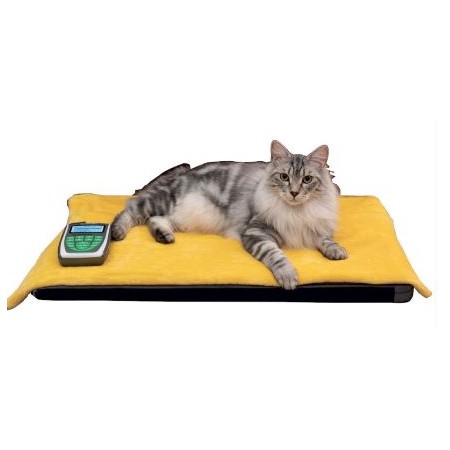 Magnetoterapia Veterinaria Globus Magnetovet 200 con cuccia