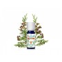 Puressentiel OLIO ESSENZIALE SINGOLO CIPRESSO  BIO