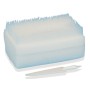 Kit spazzola clorexidina - pack italiano - conf. 30 pz.